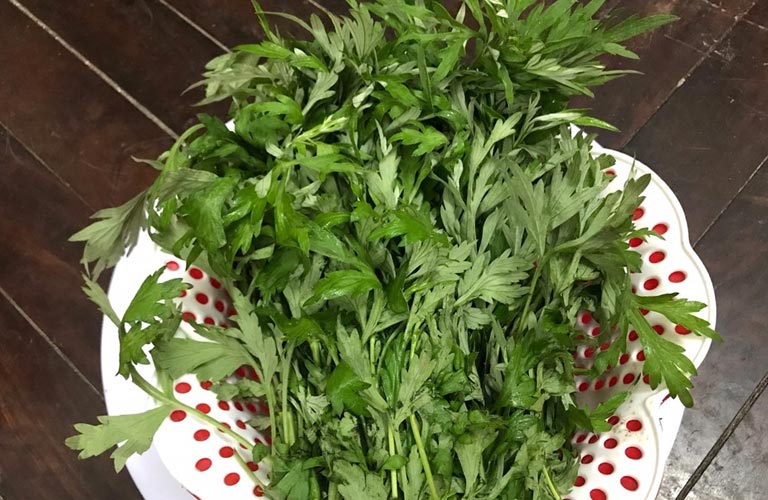 Đắp lá ngải cứu là một trong những cách chữa đau đầu hiệu quả mà bà con thường xuyên mách nhau