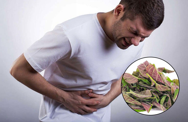 Tác dụng của chữa đau dạ dày bằng lá mơ