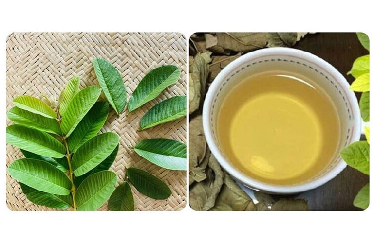 Cách chữa đau dạ dày bằng lá ổi tươi đun nước uống là phương pháp đơn giản nhưng hiệu quả