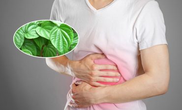 Tác dụng của chữa đau dạ dày bằng lá trầu không