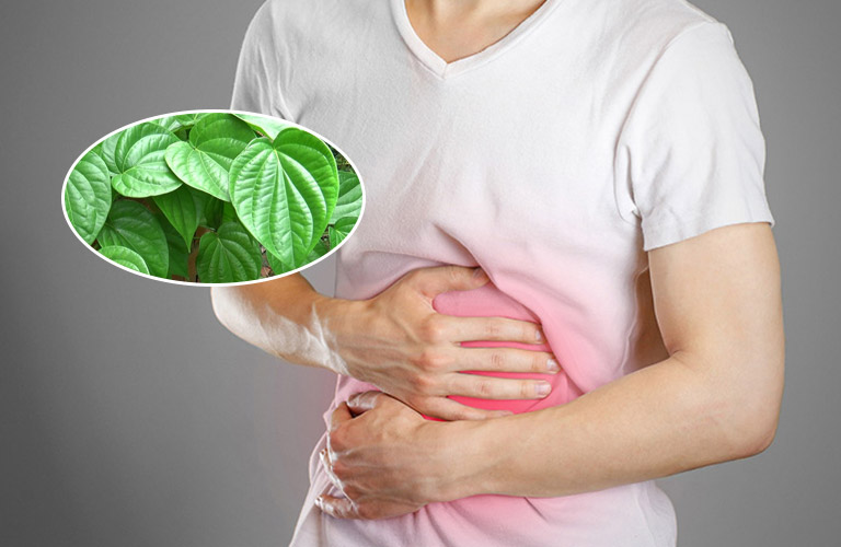 Tác dụng của chữa đau dạ dày bằng lá trầu không