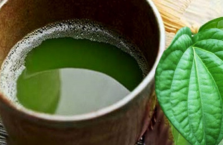 Nước lá trầu không có tác dụng làm ấm tỳ vị, cải thiện quá trình tiêu hóa
