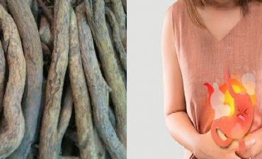 Tác dụng của chữa đau dạ dày bằng rễ sim