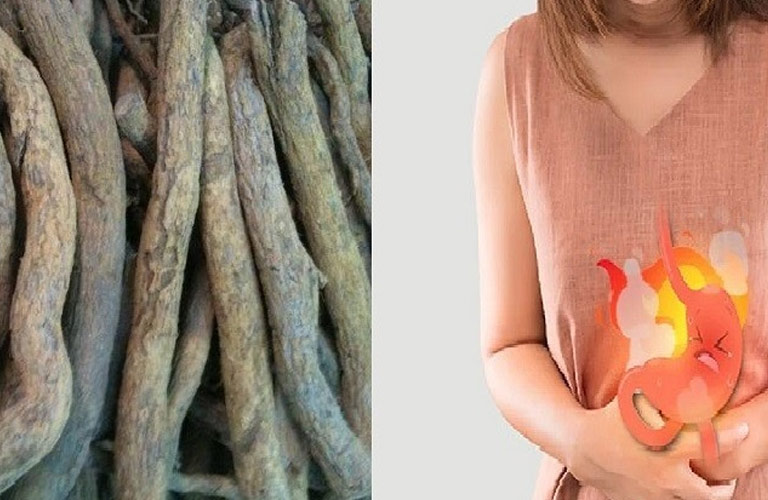 Tác dụng của chữa đau dạ dày bằng rễ sim