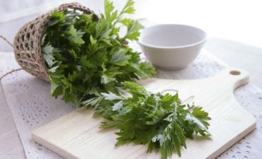 Chườm ngải cứu chữa đau đầu là một phương pháp đơn giản nhưng mang lại hiệu quả bất ngờ