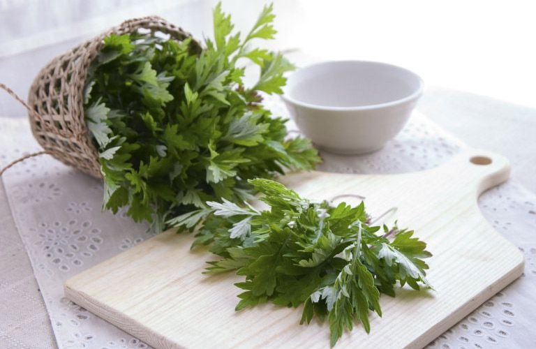 Chườm ngải cứu chữa đau đầu là một phương pháp đơn giản nhưng mang lại hiệu quả bất ngờ