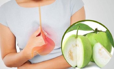 Người bị đau dạ dày có thể ăn ổi trong trường hợp dạ dày ổn định, không đau cấp
