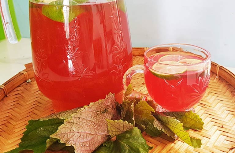 Dùng nước lá tía tô để hỗ trợ giảm đau dạ dày tại nhà
