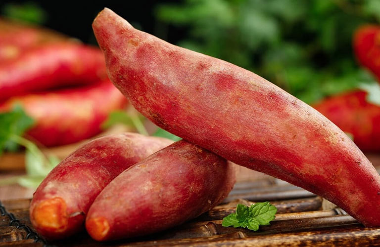 Khoai lang chứa nhiều chất xơ hòa tan, vitamin, khoáng chất tốt cho tiêu hóa, hỗ trợ nhu động ruột và làm dịu niêm mạc