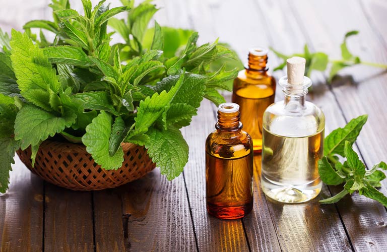 Tinh dầu bạc hà giúp thư giãn cơ bắp và giảm đau đầu do căng thẳng