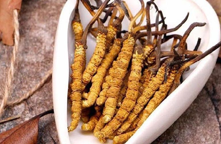 Dùng đông trùng hạ thảo chữa mất ngủ giúp cân bằng cơ thể, mang lại giấc ngủ ngon