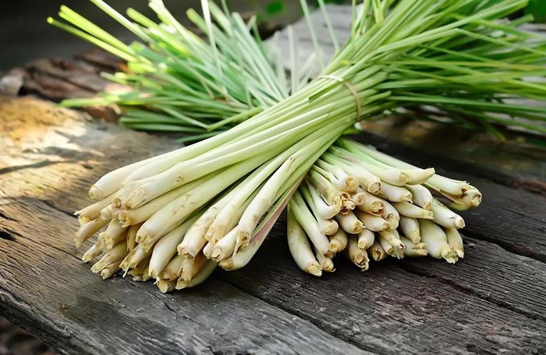 Lá sả có tính kháng viêm, sát khuẩn, không chỉ giúp giảm đau đầu mà còn giúp thanh lọc cơ thể, giảm cảm cúm