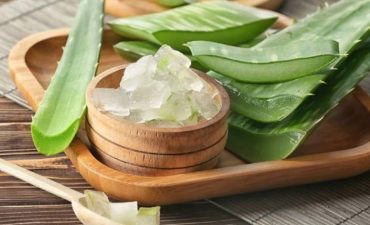 Tác dụng của nha đam chữa trào ngược dạ dày