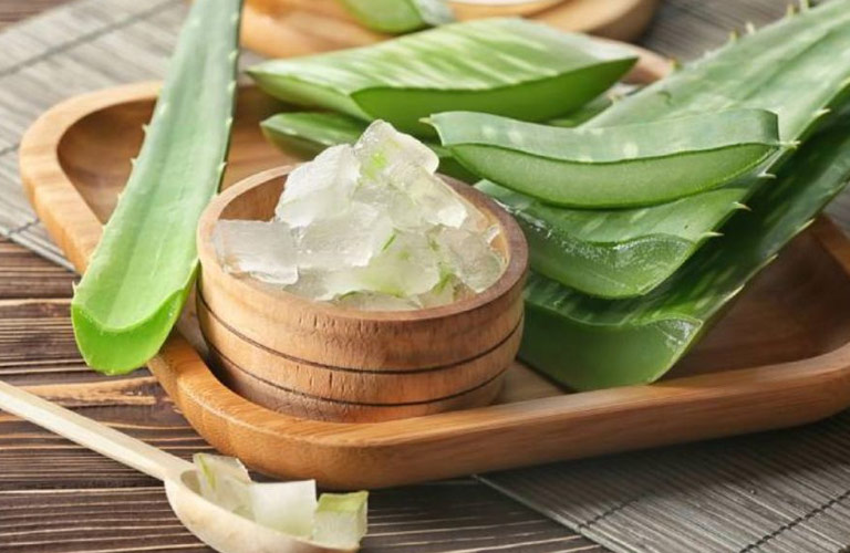 Tác dụng của nha đam chữa trào ngược dạ dày