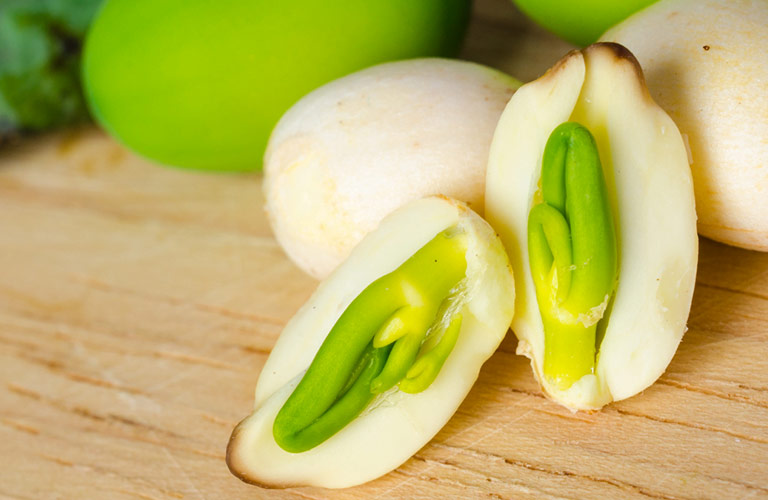 Tâm sen quy vào kinh tâm, có khả năng dưỡng tâm, an thần