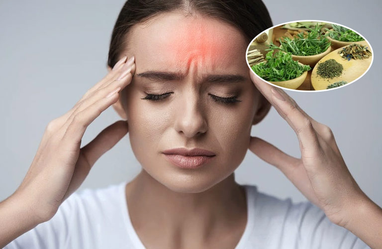 Thảo dược giúp thông kinh hoạt lạc, giảm cảm giác đau nhức, nặng đầu