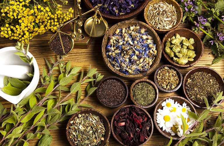 Thảo dược trị mất ngủ có tác dụng chậm mà chắc, không làm lệ thuộc thuốc