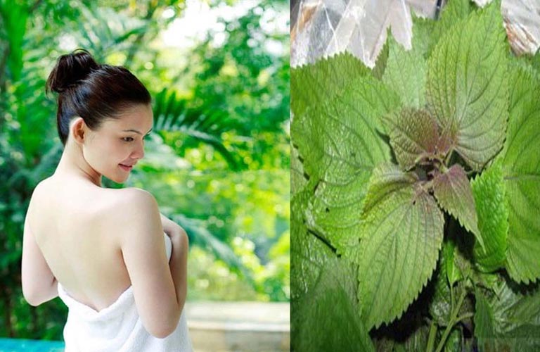 Tắm lá tía tô là một phương pháp làm dịu thần kinh, giúp ngủ ngon hơn