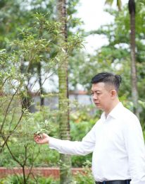 Đôi khi chỉ cần ra ngoài hít thở không khí trong lành cũng đủ giúp chúng ta thư thái hơn rất nhiều