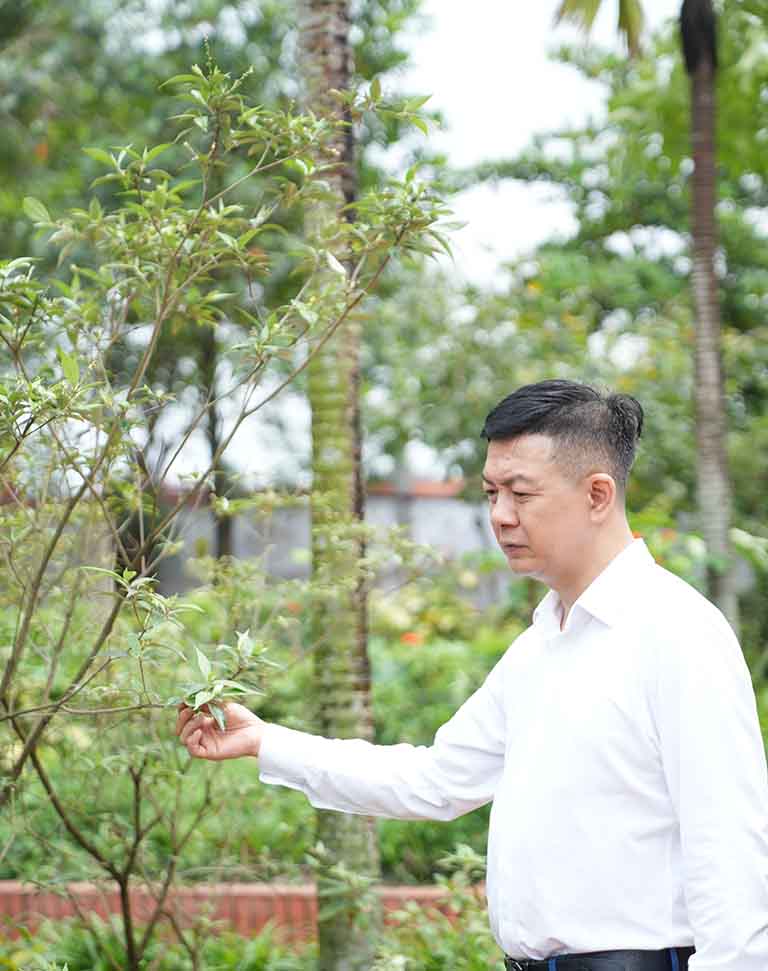 Đôi khi chỉ cần ra ngoài hít thở không khí trong lành cũng đủ giúp chúng ta thư thái hơn rất nhiều