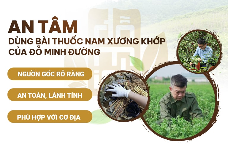 An tâm dùng thuốc xương khớp của Đỗ Minh Đường
