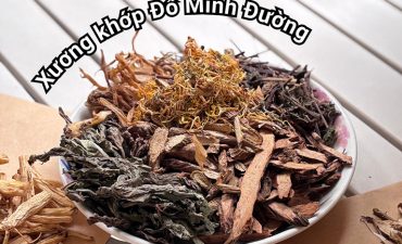 Thành phần thuốc xương khớp Đỗ Minh